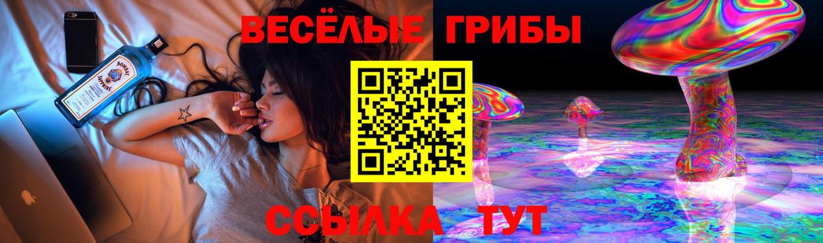 Галлюциногенные грибы мицелий Похвистнево