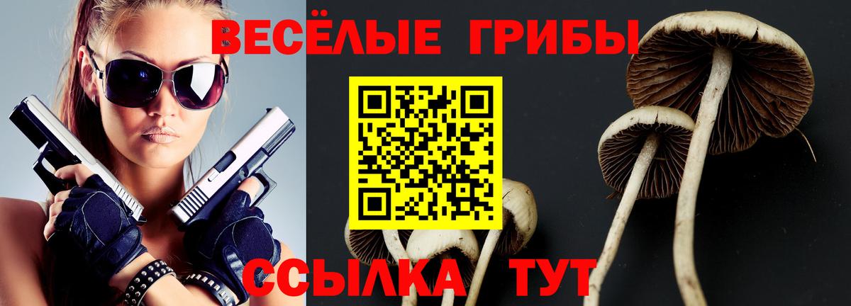 Похвистнево  Псилоцибиновые грибы Psilocybe  Псилоцибиновые грибы прущие грибы  что такое   Вход с VPN 